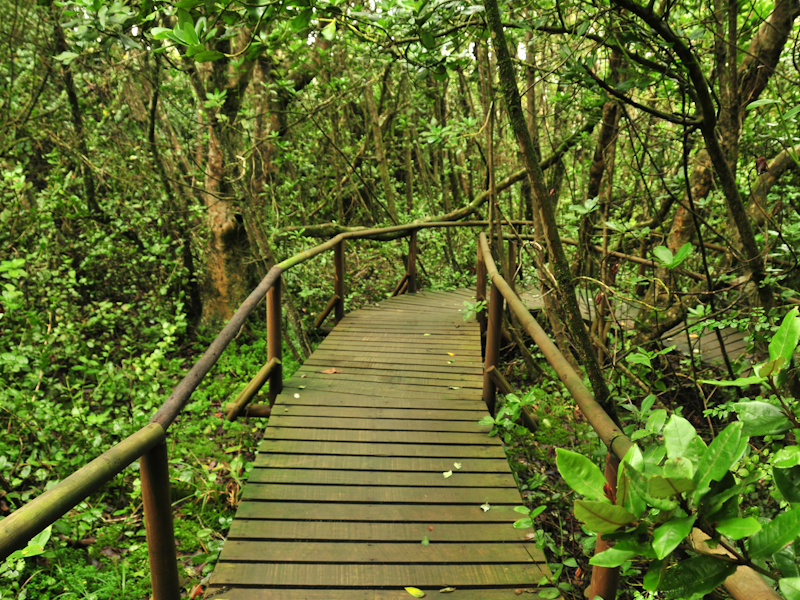Parque Nacional Fray Jorge